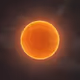 Sunshine