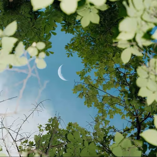 moon