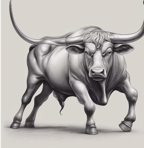 bulls and bears