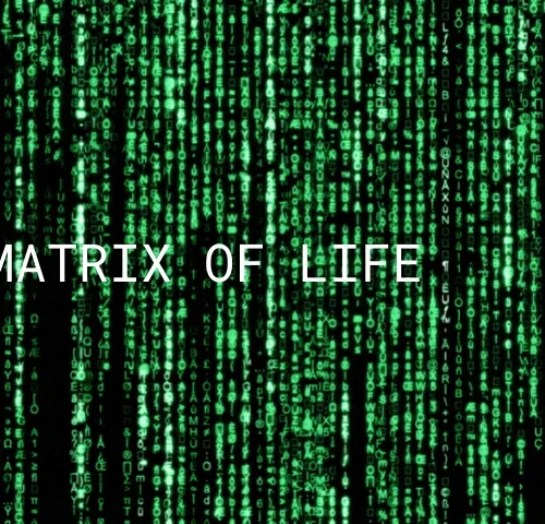 MATRIX