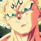 Majin Vegeta Collection