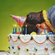 Berish cake