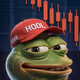 Don't worry bruh, "to the moon" in the room with ya  🐸