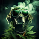 Doggy Smoke Zora