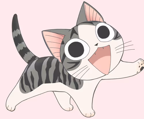 CAT 😻