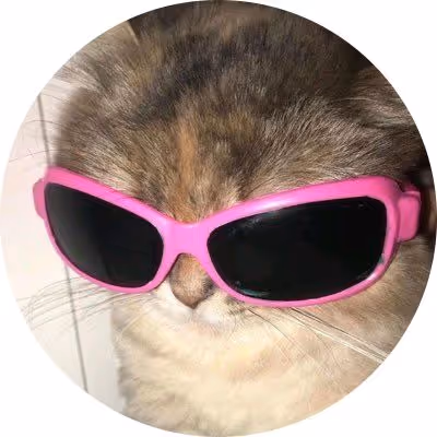 Fashion Cat
