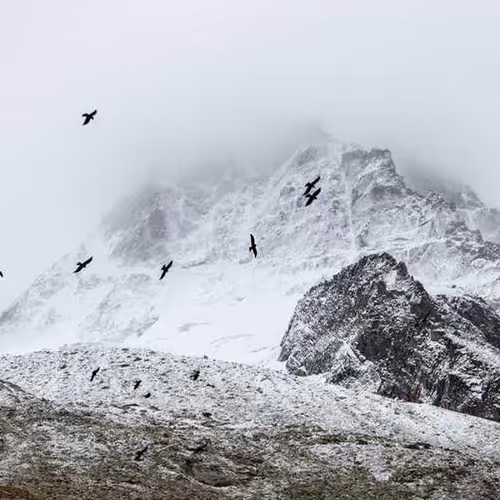 Preservation September