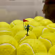 miniature