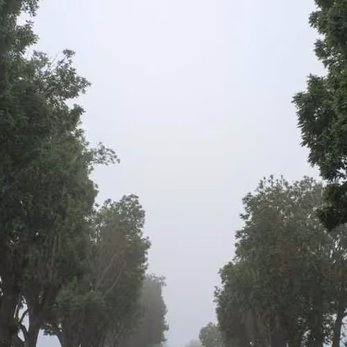 Axis Lightbox Extension