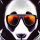 Zora Panda