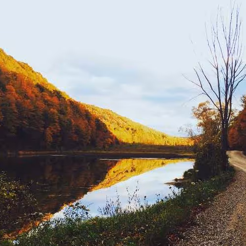 Womens