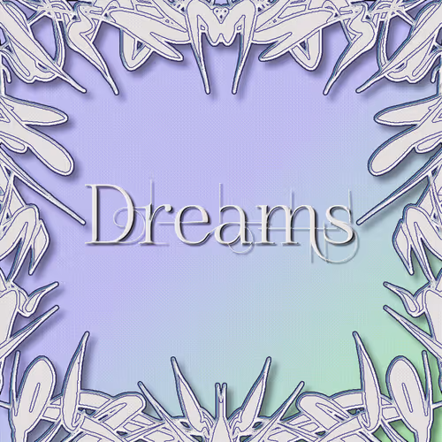 ˚*•̩̩͙✩DREAMS✩•̩̩͙*˚