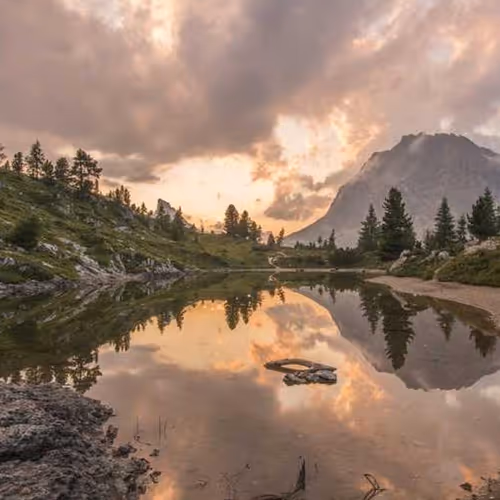 Herself Daddy Downloading