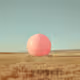 Rural Zorb