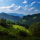 Nature beauty