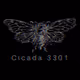 cicada