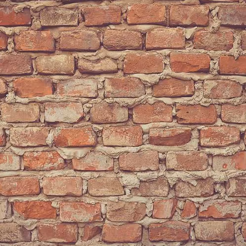 Parliamentary Are Testimony