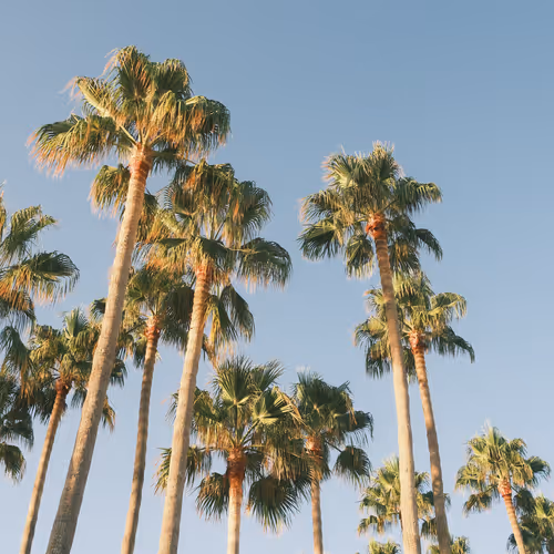 California