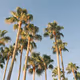 California