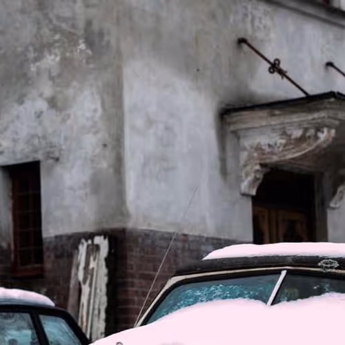 Coalition Albania Chicken