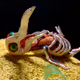 Boris Z on Zora