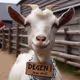 Goat