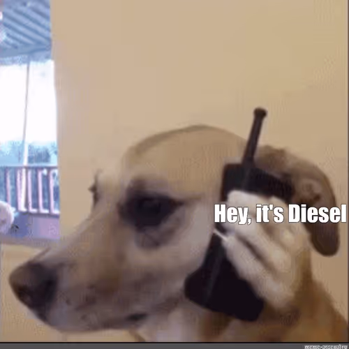 Dogs Calling