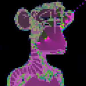 baykkca