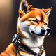 Foxxy