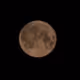 TO THE MOON