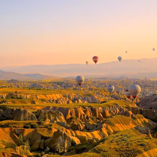 Orders Line