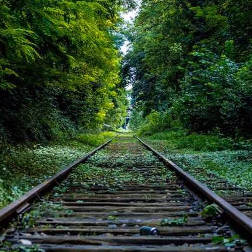 Developer Editor Worker