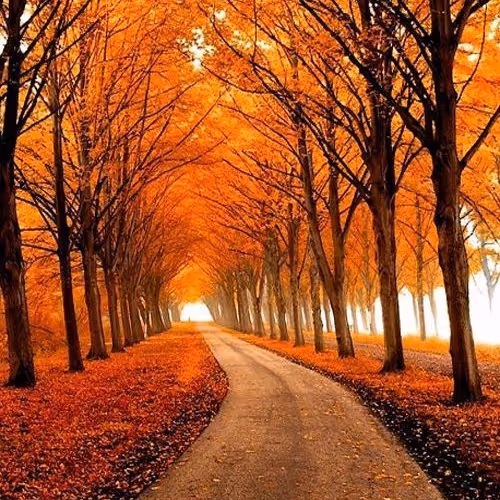 autumn