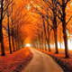 autumn