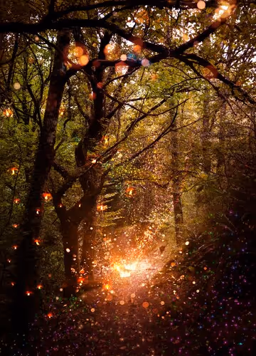 0xdb9c76c56e3970d52d430419e2a8eeb297c37074