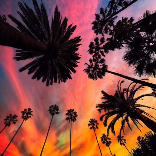 Sunsets