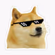 DogeXNews