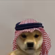 Habibi dog