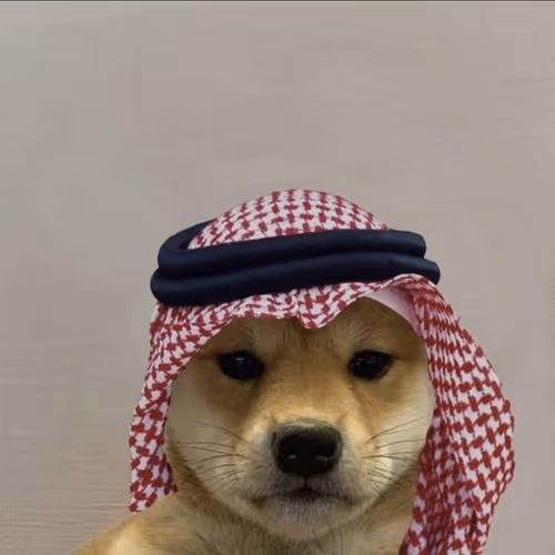 Habibi dog