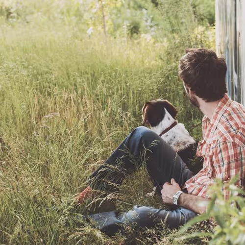 Occupied Denied Society