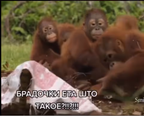 manki?>