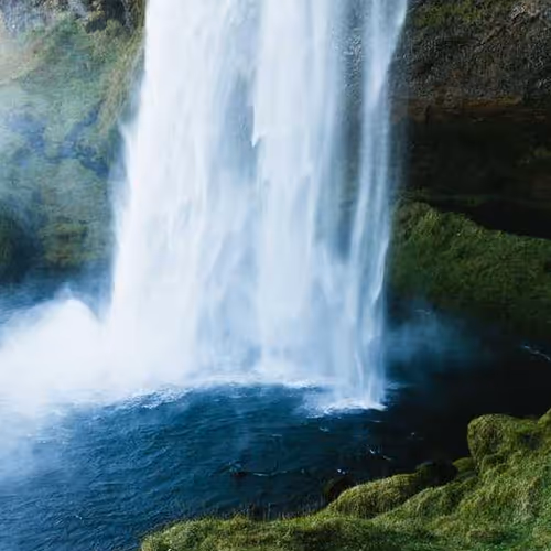 Actively Ringtones School