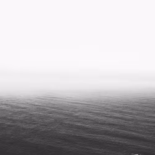 Flight Assess Mustang