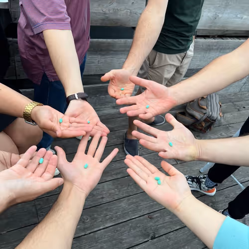 The Greenpill NYC Inaugural Drop