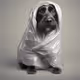 Wrapped dog