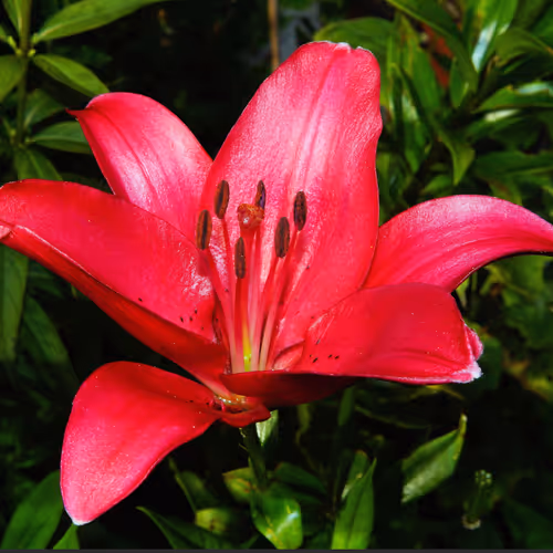 F09