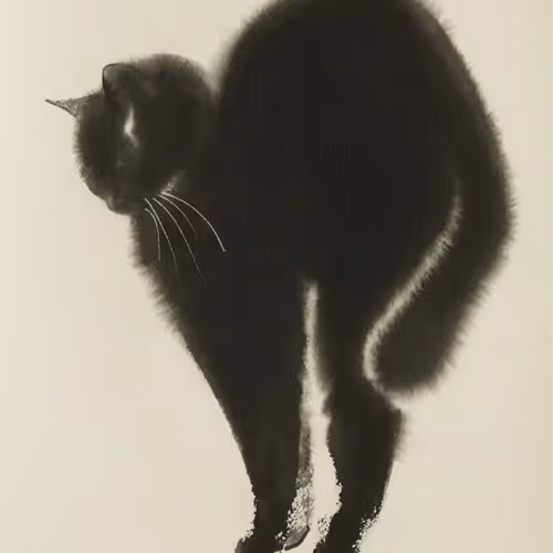 Magic cats