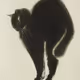 Magic cats