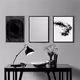 Black & White Sync
