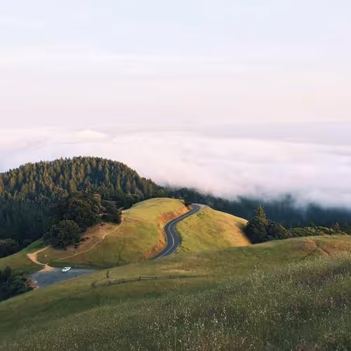 Determine Std Quoted